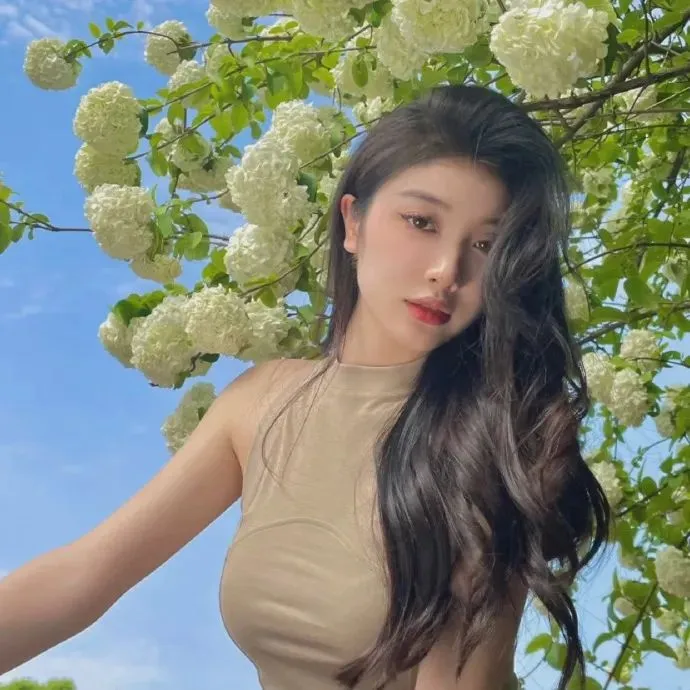 热门视频合集